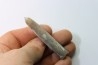 belemnite: Belemnitella Mucronatha - upper campanian - Höver, Hannover, Germany