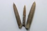 set of 3 belemnites: Belemnitella Mucronatha - upper campanian - Höver, Hannover, Germany
