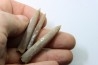 set of 3 belemnites: Belemnitella Mucronatha - upper campanian - Höver, Hannover, Germany