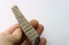 orthoceras: Michelinoceras michelini - givétian - Erfoud, Morocco