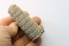 orthoceras: Michelinoceras michelini - givétien - Erfoud, Maroc