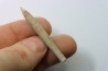 bélemnite: Hibolithes subfusiformis - Hauterivian - Alpes de haute Provence - France