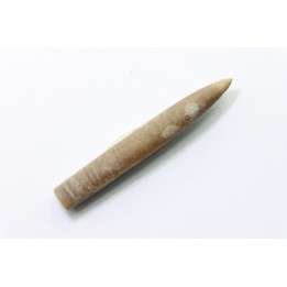 bélemnite: Hibolithes subfusiformis - Hauterivian - Alpes de haute Provence - France