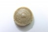 corail bouton: Palaeocyclus Porpitus (Linnaeus, 1765) - Silurien - Lickarshamn - Gotland, SUEDE