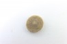 corail bouton: Palaeocyclus Porpitus (Linnaeus, 1765) - Silurien - Lickarshamn - Gotland, SUEDE
