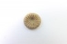 corail bouton: Palaeocyclus Porpitus (Linnaeus, 1765) - Silurien - Lickarshamn - Gotland, SUEDE