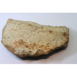 dinosaure freak: TRICERATOPS HORRIDUS
