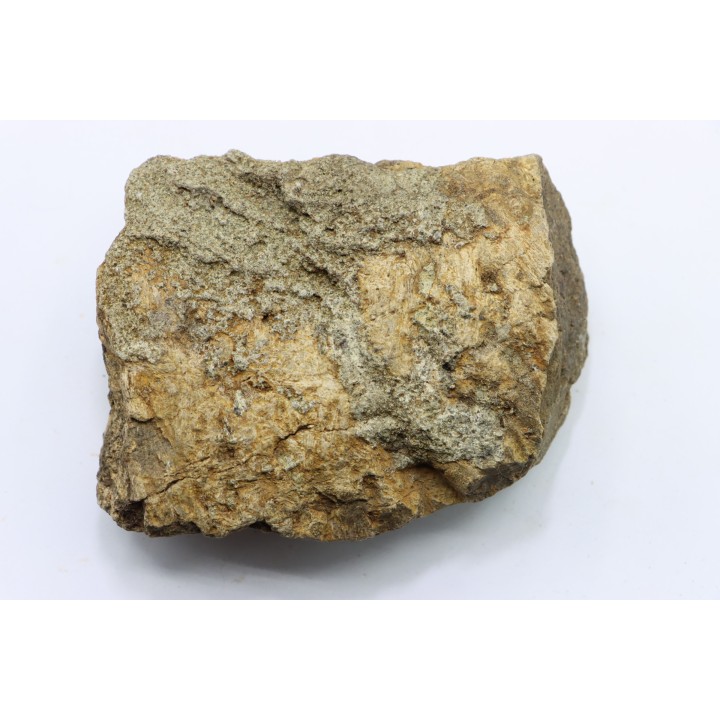 dinosaure freak: TRICERATOPS HORRIDUS