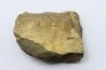dinosaure freak: TRICERATOPS HORRIDUS