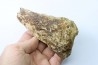 dinosaure freak: TRICERATOPS HORRIDUS