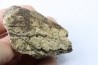 Dinosaure: fragment de collerette de TRICERATOPS HORRIDUS - Hell Creek  Fmt - crétacé sup. - Glendive County, Montana