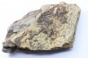 dinosaure freak: TRICERATOPS HORRIDUS
