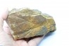 dinosaure freak: TRICERATOPS HORRIDUS