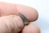 dermic plate  and de crocodil tooth DEINOSUCHUS - Hell Creek Formation - cretaceous - South Dakota