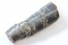 bélemnite: Hibolithes subsulcatus (MUNSTER, 1830) - lower Tithonian- Muhlheim - Germany