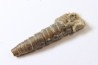 bélemnite: Hibolithes subsulcatus (MUNSTER, 1830) - lower Tithonian- Muhlheim - Germany