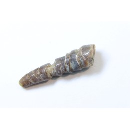 bélemnite: Hibolithes subsulcatus (MUNSTER, 1830) - lower Tithonian- Muhlheim - Germany