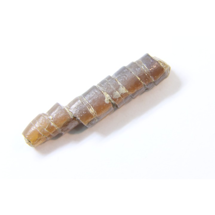 bélemnite: Hibolithes subsulcatus (MUNSTER, 1830) - lower Tithonian- Muhlheim - Germany