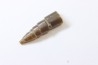 fossile de bélemnite du jurassique "déformé" durant l' EVENEMENT DU  RIES (14.5 M.A.)