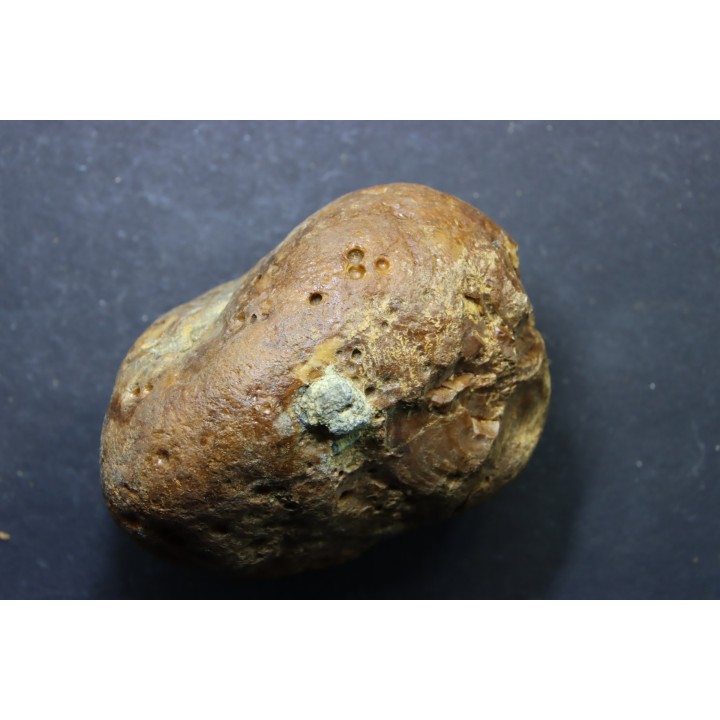 CRETACEOUS AMBER FROM ARCHINGEAY - FRANCE