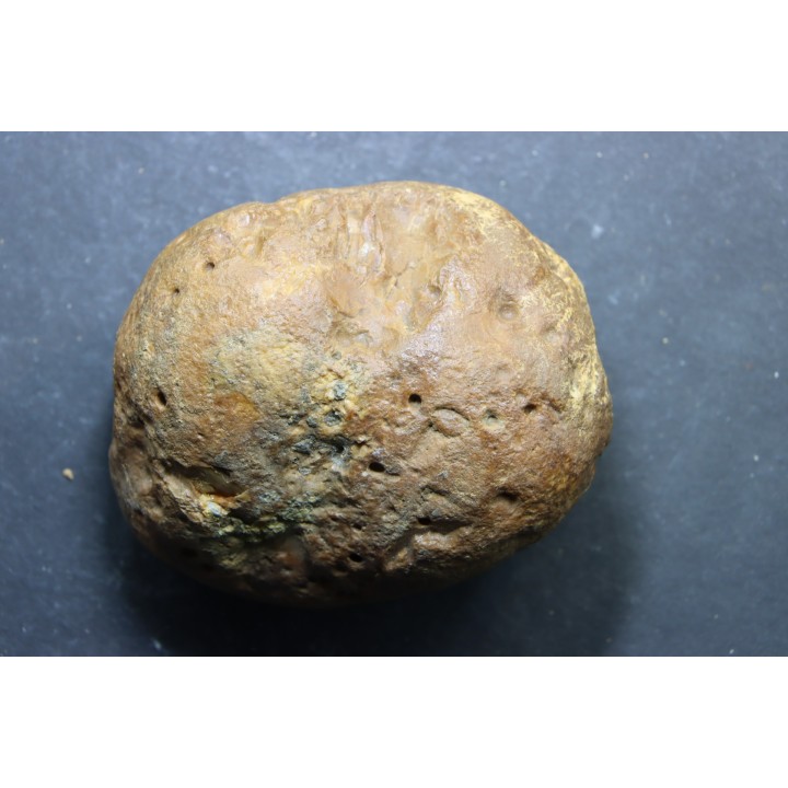 AMBRE fossile - 97 grammes - cénomanien - Archingeay, Rochefort - FRANCE