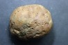 CRETACEOUS AMBER FROM ARCHINGEAY - FRANCE