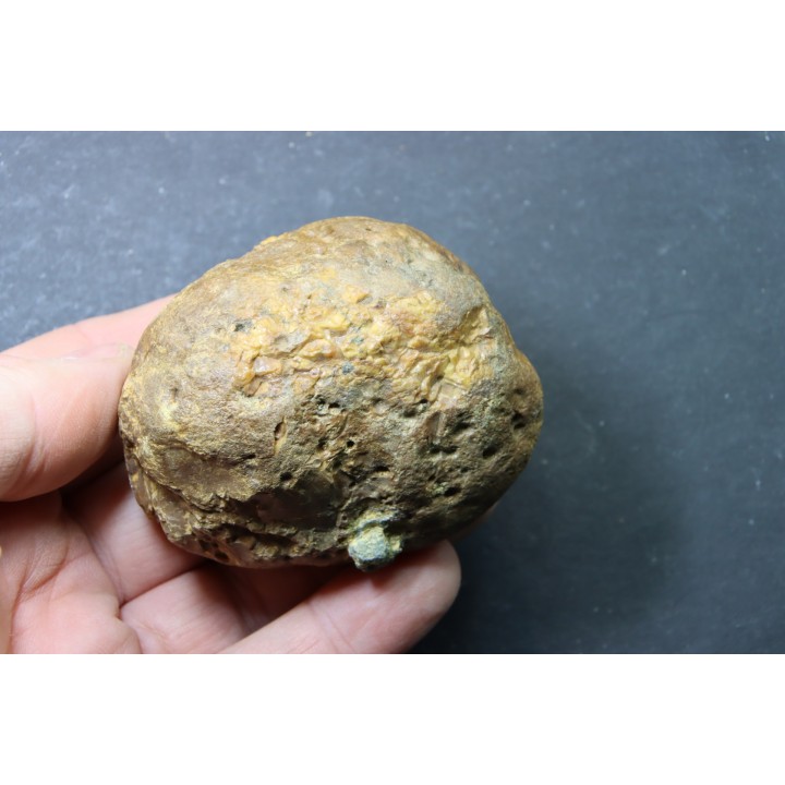 CRETACEOUS AMBER FROM ARCHINGEAY - FRANCE