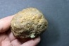AMBRE fossile - 97 grammes - cénomanien - Archingeay, Rochefort - FRANCE