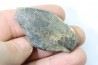 bélemnite: Duvalia émérici (with acrothoracic crustaceans traces)- upper Valanginian - Alpes de haute Provence - France