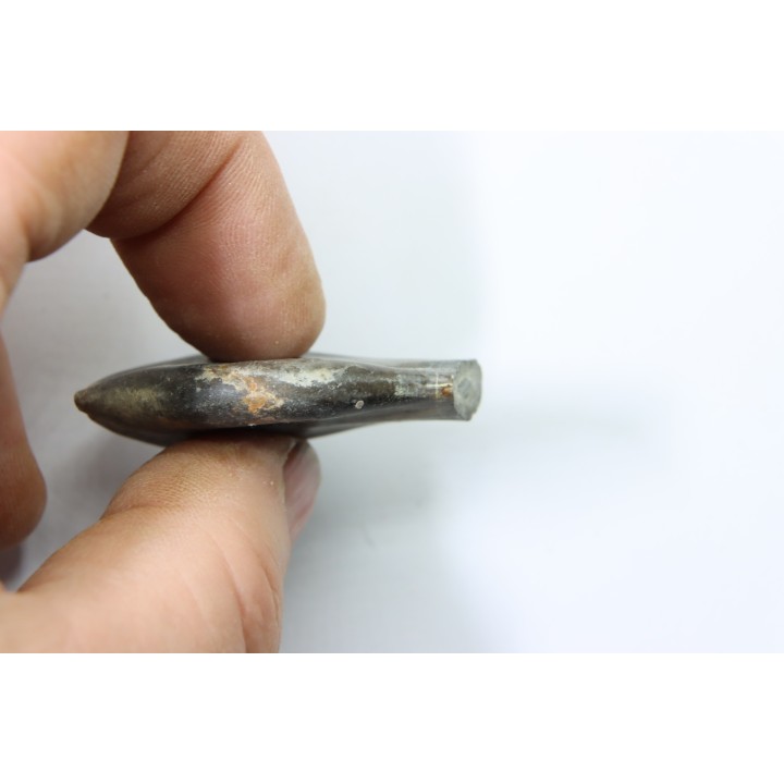bélemnite: Duvalia émérici (avec traces de crustacés acrothoraciques) - Valanginien supérieur - Alpes de haute Provence - France