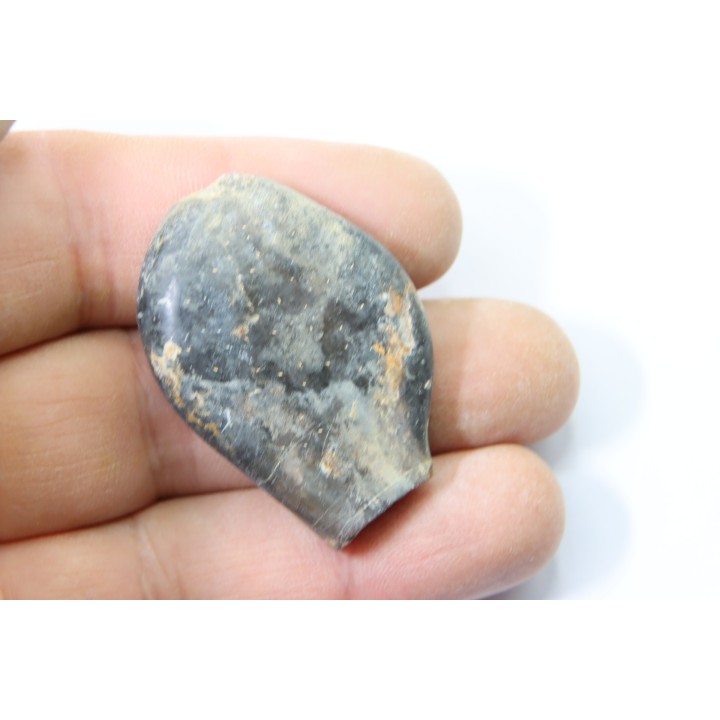 bélemnite: Duvalia émérici (avec traces de crustacés acrothoraciques) - Valanginien supérieur - Alpes de haute Provence - France