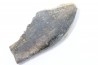 bélemnite: Duvalia émérici - upper Valanginian - Alpes de haute Provence - France