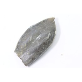 bélemnite: Duvalia émérici - upper Valanginian - Alpes de haute Provence - France