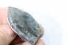 bélemnite: Duvalia émérici - Valanginien supérieur - Alpes de haute Provence - France