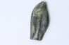 bélemnite: Duvalia émérici - Valanginien supérieur - Alpes de haute Provence - France