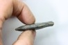 bélemnite: Duvalia émérici - Valanginien supérieur - Alpes de haute Provence - France