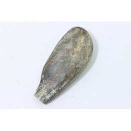 bélemnite: Duvalia émérici - Valanginien supérieur - Alpes de haute Provence - France