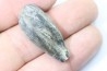 bélemnite: Duvalia émérici - Valanginien supérieur - Alpes de haute Provence - France