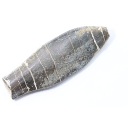 bélemnite: Duvalia émérici - upper Valanginian - Alpes de haute Provence - France