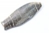 bélemnite: Duvalia émérici - upper Valanginian - Alpes de haute Provence - France