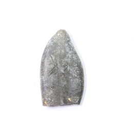 bélemnite: Duvalia émérici - upper Valanginian - Alpes de haute Provence - France