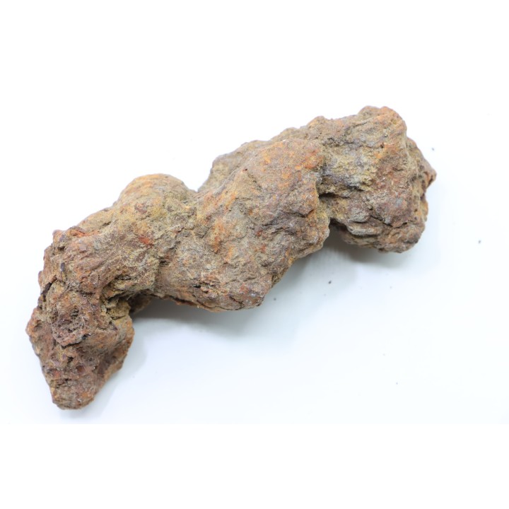 COPROLITHE DE REPTILE - cénozoïque - région de Betsiboka, province de Majunga - Madagascar