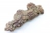 coprolithe of reptil - cenozoic - Betsiboka, province of Majunga - Madagascar