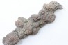 coprolithe of reptil - cenozoic - Betsiboka, province of Majunga - Madagascar