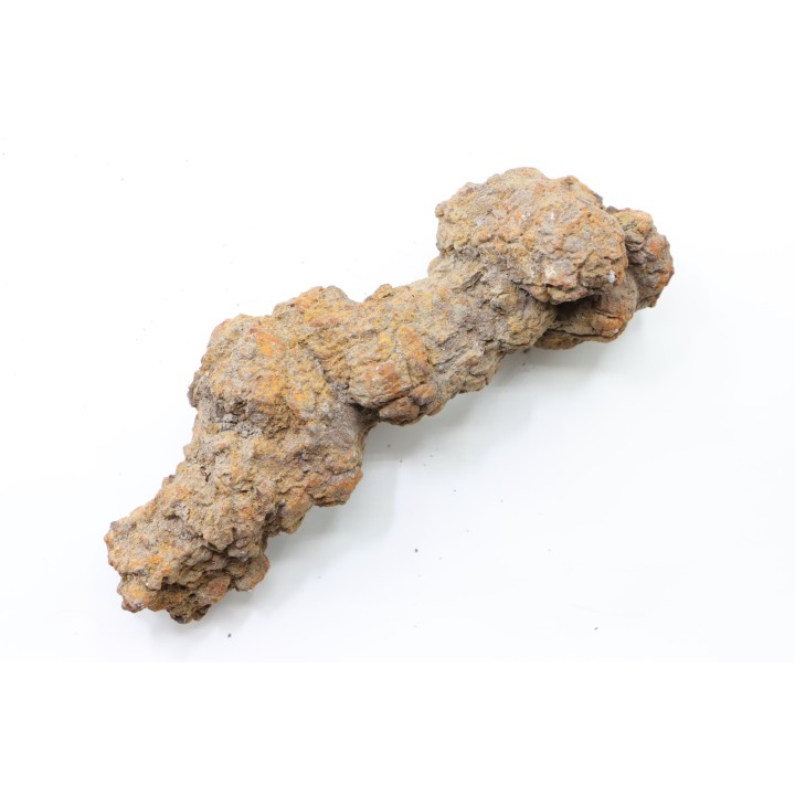 COPROLITHE DE REPTILE - cénozoïque - région de Betsiboka, province de Majunga - Madagascar