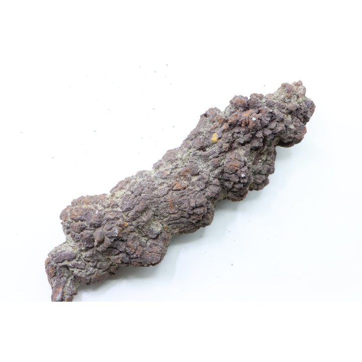 COPROLITHE DE REPTILE - cénozoïque - région de Betsiboka, province de Majunga - Madagascar