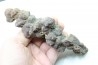 coprolithe of reptil - cenozoic -  Betsiboka, province of Majunga - Madagascar