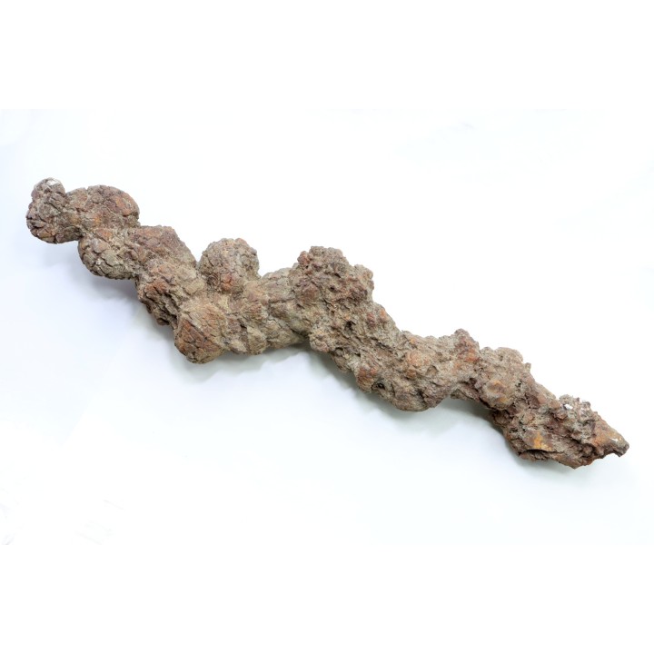 COPROLITHE DE REPTILE - cénozoïque - région de Betsiboka, province de Majunga - Madagascar