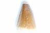 MOSASAURE tooth // Prognathodon Anceps //Maestrichtian // Oued Zem - Morocco