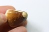 MOSASAURE tooth // Prognathodon Anceps //Maestrichtian // Oued Zem - Morocco
